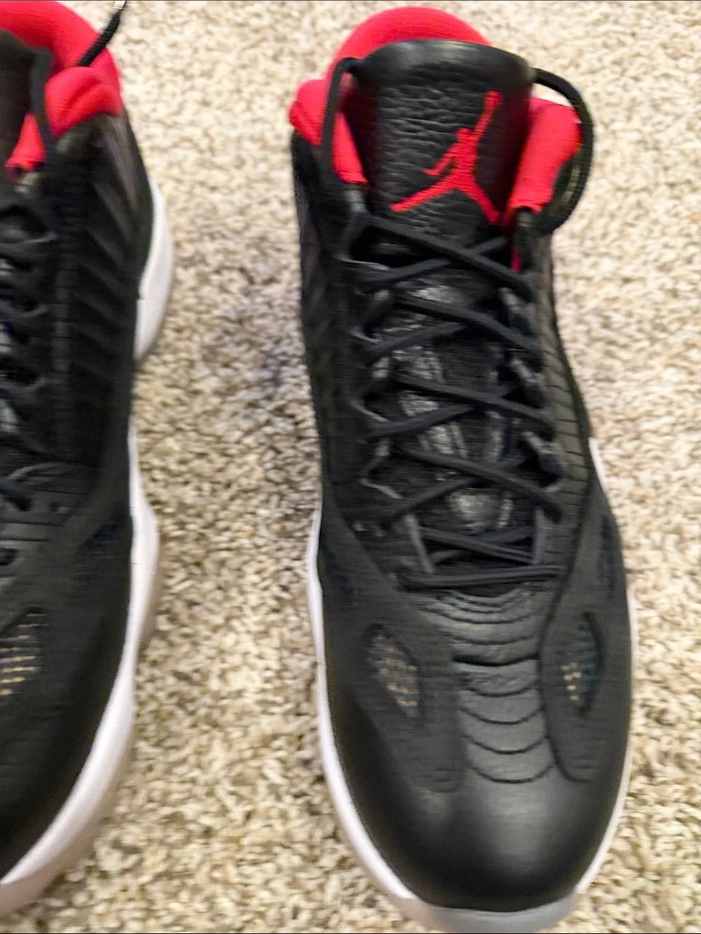 Nike Air Jordan 11 Low
